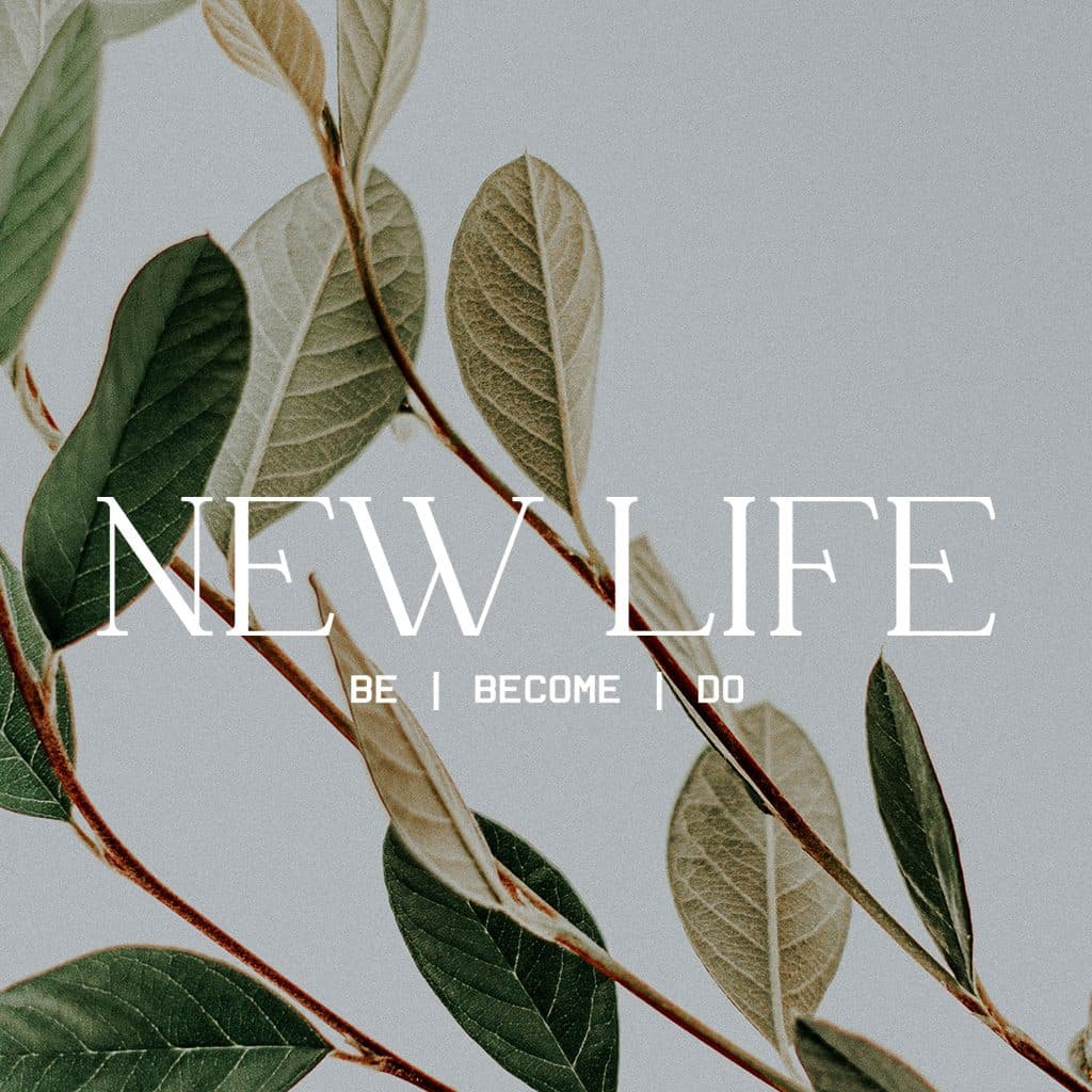 New Life