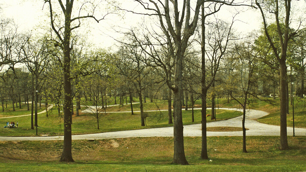 park with trees green grass concrete paths throughout in atlanta